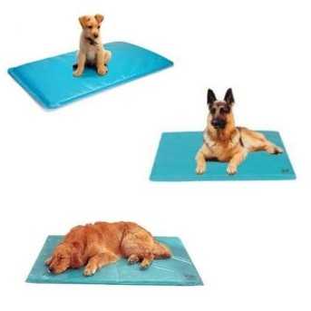 Tapis auto rafraichissant pour chien