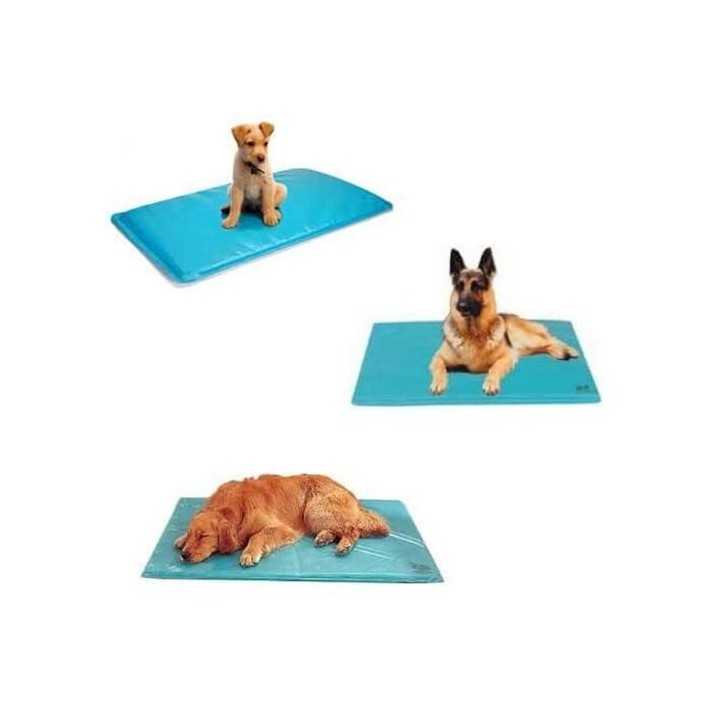 Tapis auto rafraichissant pour chien