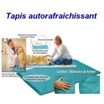 Tapis auto rafraichissant pour chien 