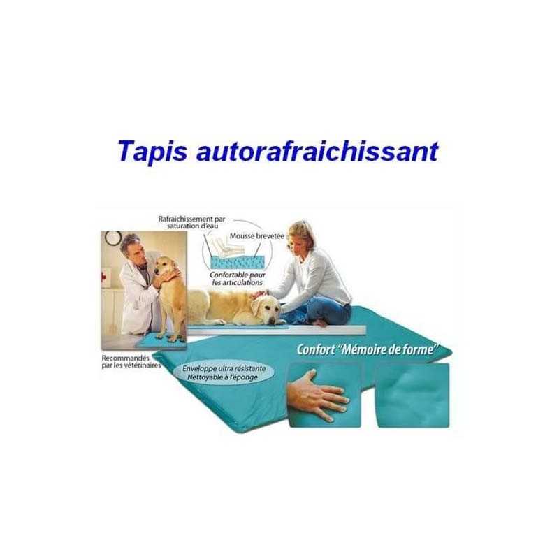 Tapis auto rafraichissant pour chien 