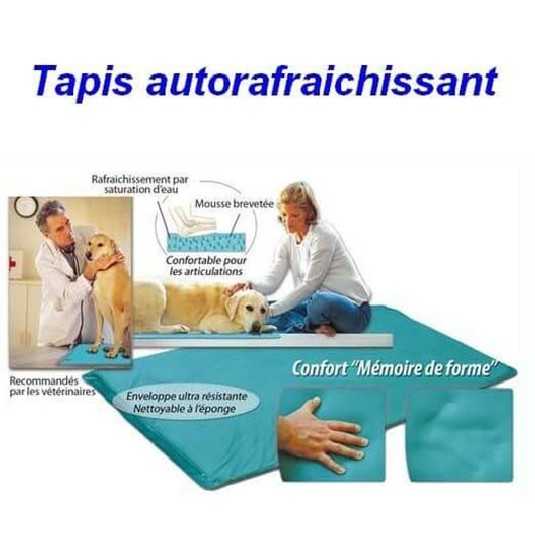 Tapis auto rafraichissant pour chien 