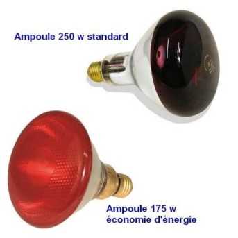 Ampoule infrarouge