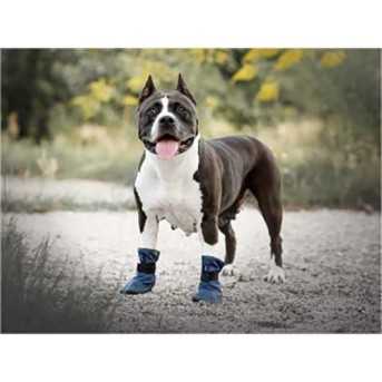 Amiplay Bristol - Chaussures pour chien couleur marine - taille M