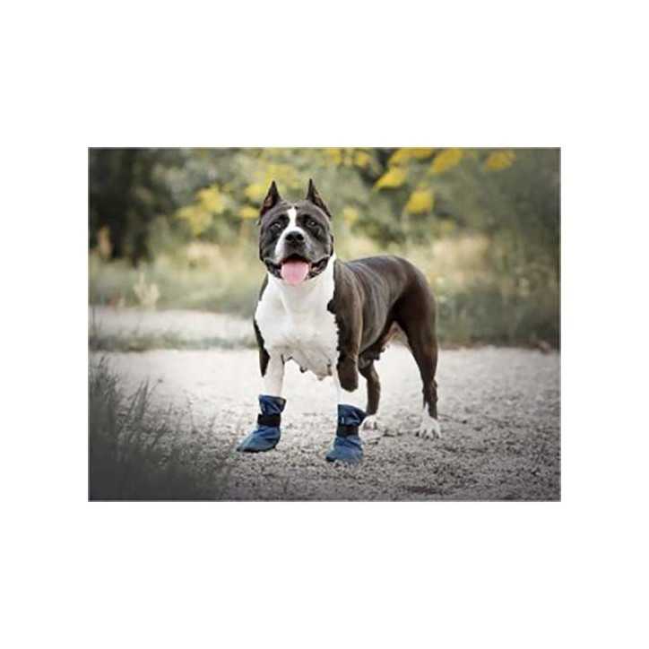 Amiplay Bristol - Chaussures pour chien couleur marine - taille M