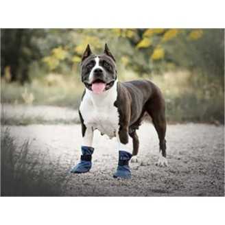 Amiplay Bristol - Chaussures pour chien couleur marine - taille M 