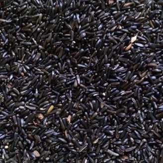 VERSELE LAGA Graines Niger sac de 1kg 