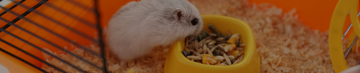 Alimentation Rongeurs