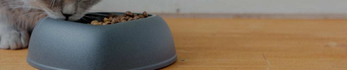 Accessoires divers pour gamelles et distributeurs