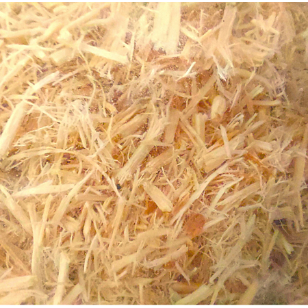 Aspen snake bedding 4,4L