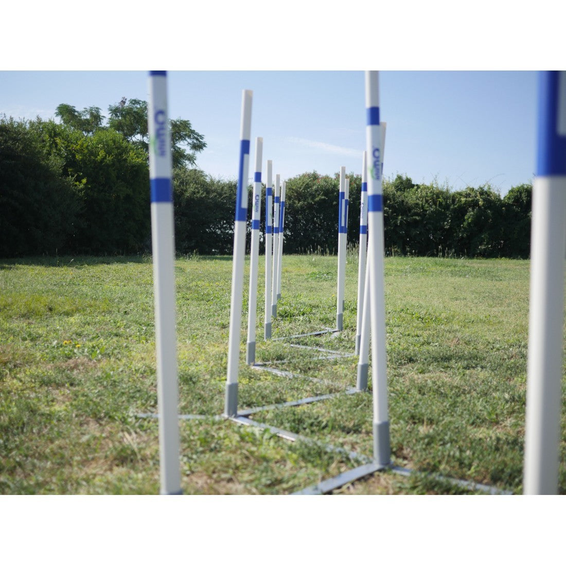 Parcours complet Agility Run