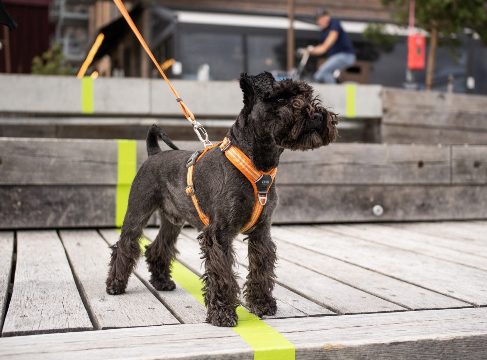 Dog Copenhagen Harnais confort Walk Air