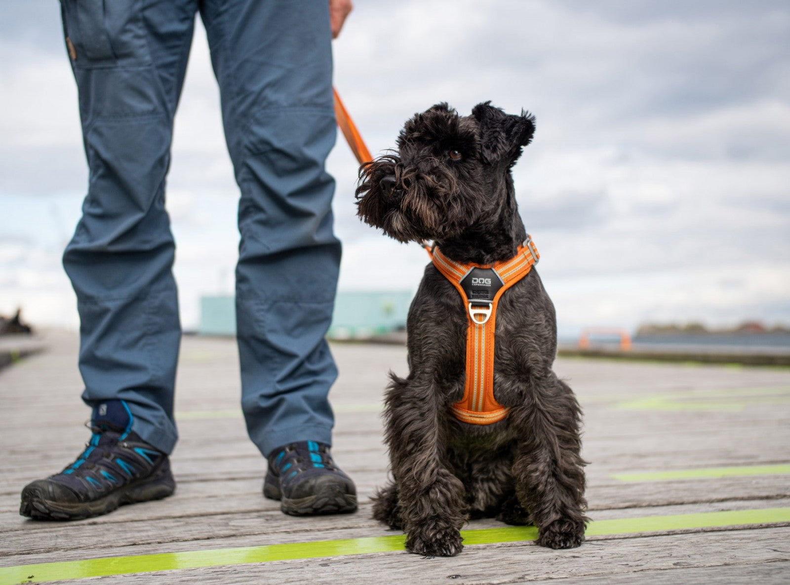 Dog Copenhagen Harnais confort Walk Air