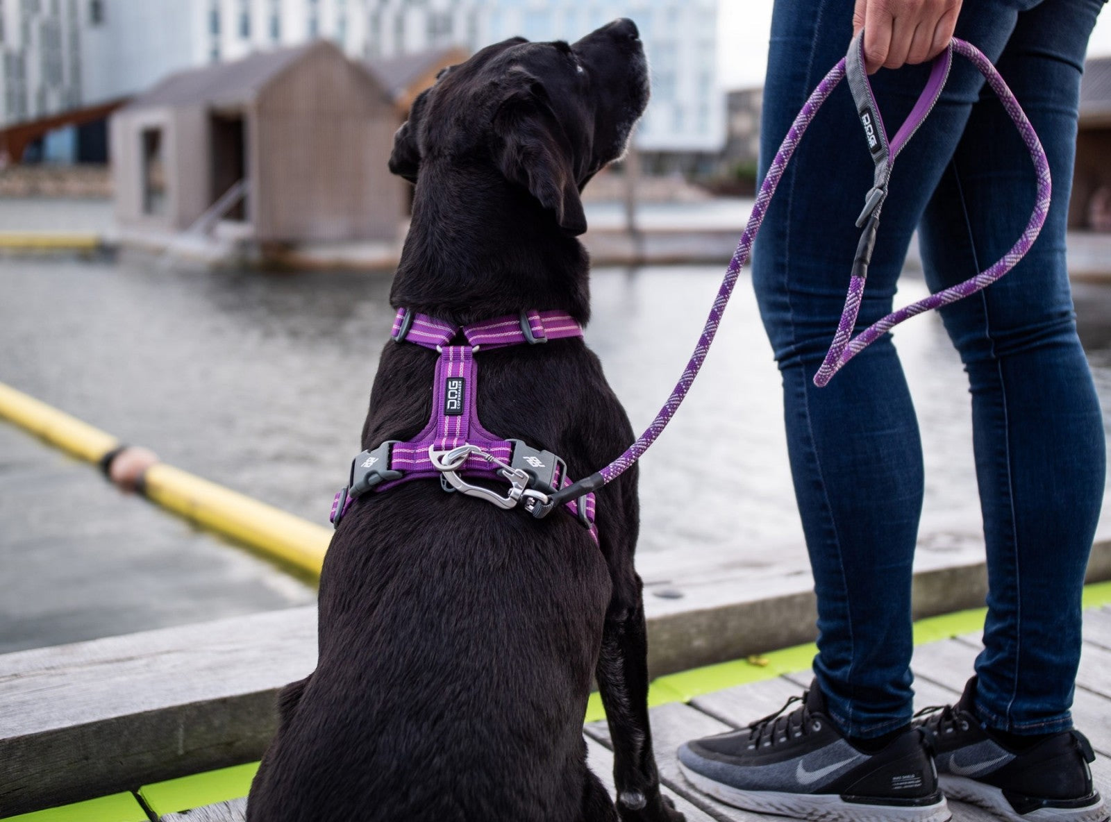 Dog Copenhagen Harnais confort Walk Air