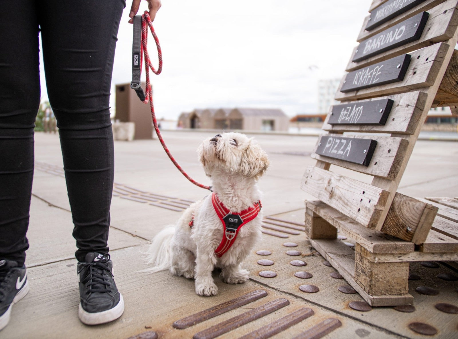 Dog Copenhagen Harnais confort Walk Air