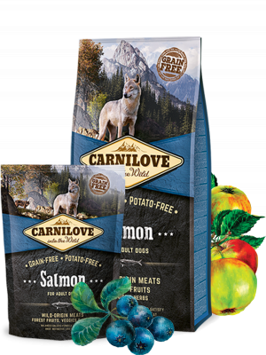 Carnilove Saumon croquettes pour chien