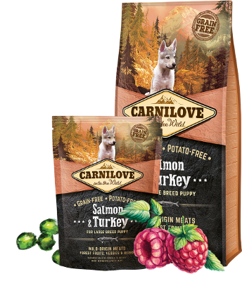 Carnilove Puppy Large Breed saumon et dinde croquettes pour chiot de grande taille