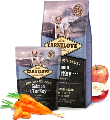 Carnilove Puppy saumon et dinde croquettes pour chiot