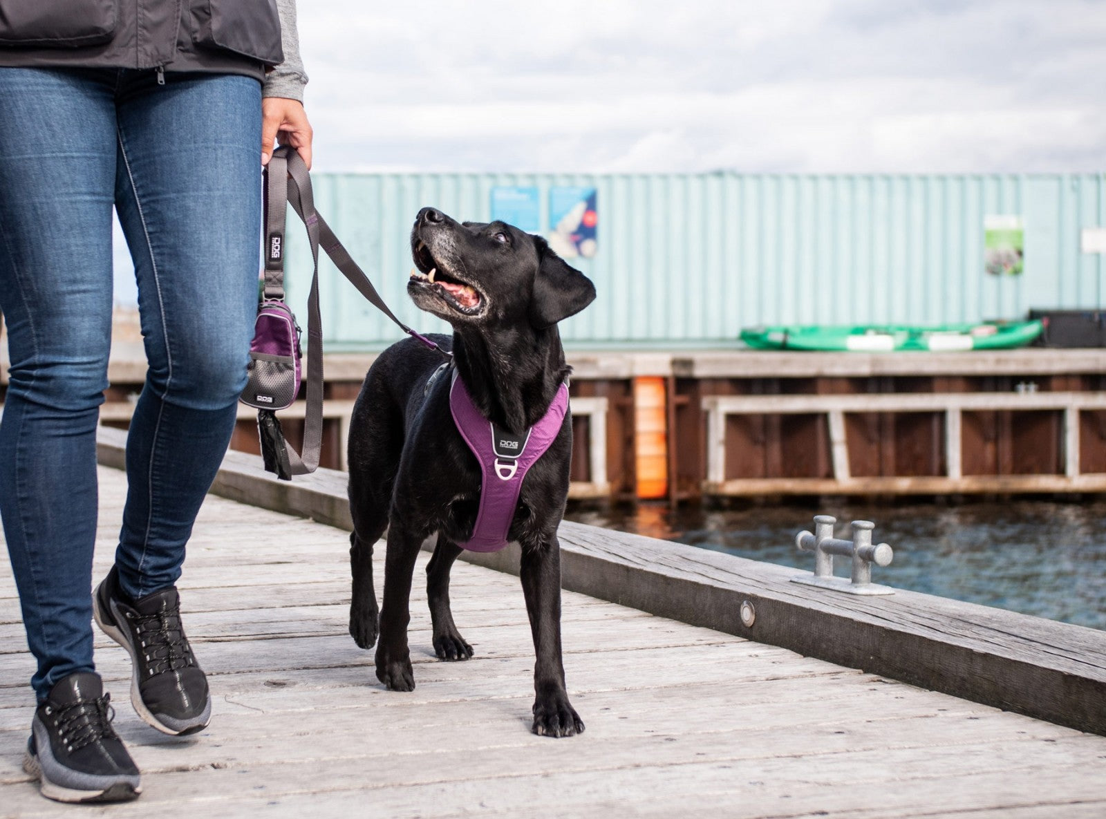 Dog Copenhagen Harnais confort Walk Pro