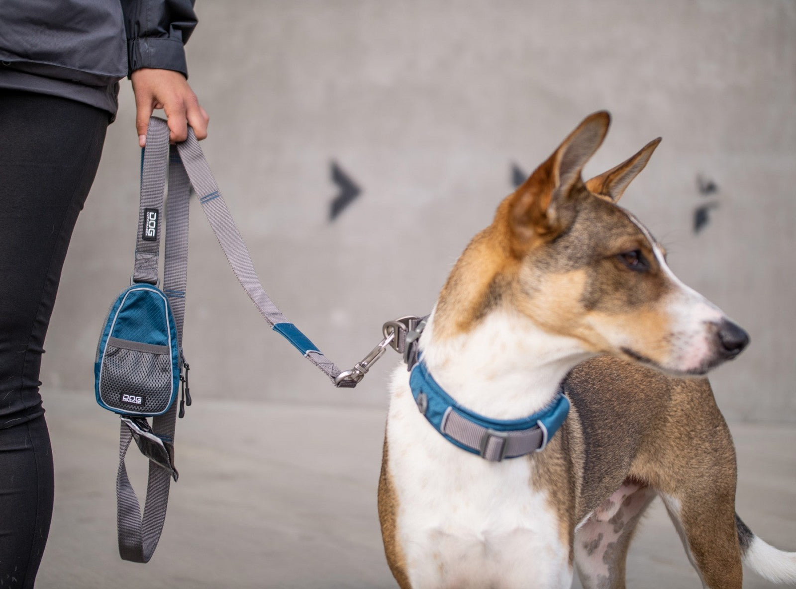 Dog Copenhagen Laisse Urban Trail