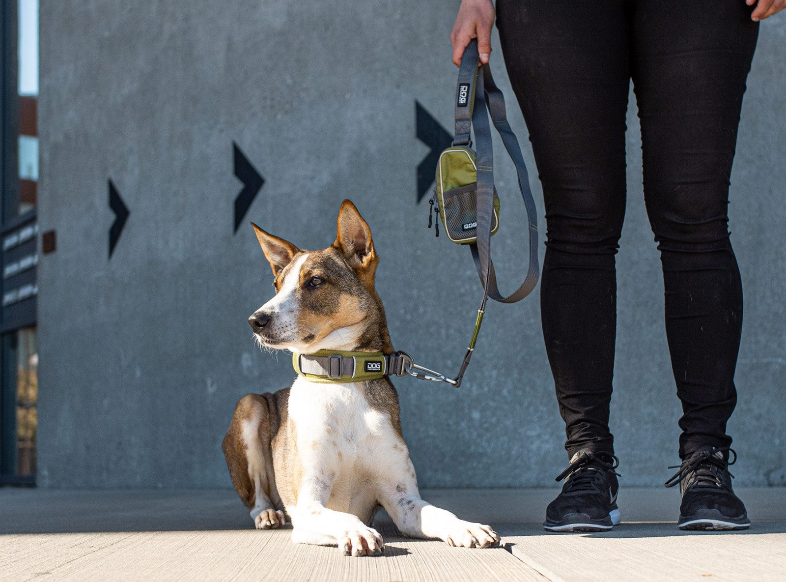 Dog Copenhagen Laisse Urban Trail