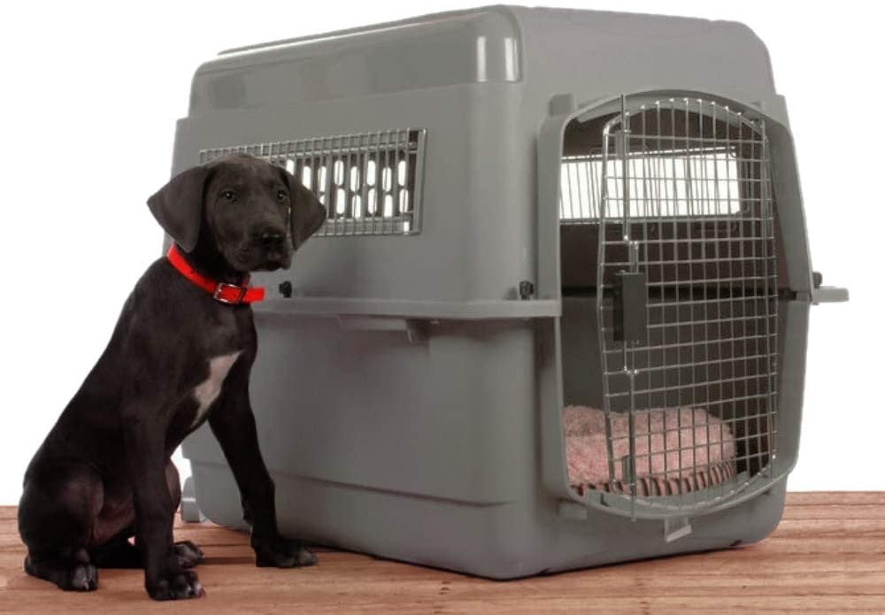 Caisse de transport pour chien Skykennel