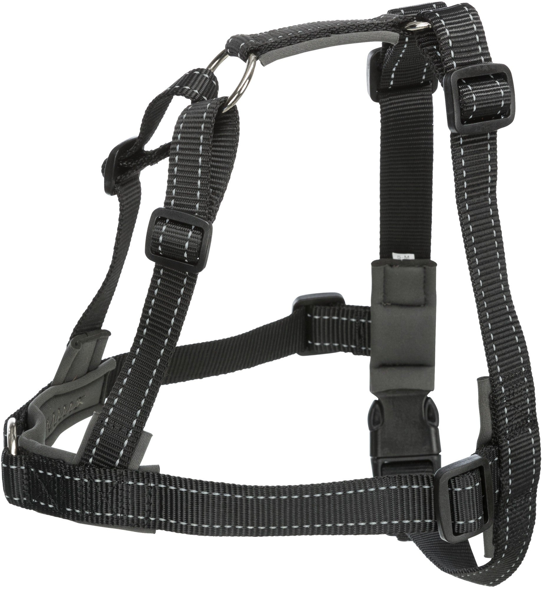 Harnais de dressage Lead and Walk Basic