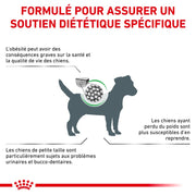 Royal Canin Veterinary Health Nutrition Chien Small Satiety