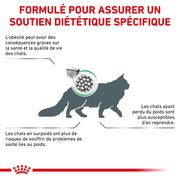 Royal Canin Veterinary Health Nutrition Chat Satiety Weight Mgt
