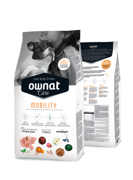 Ownat Care mobility pour chien
