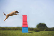 Agility Run Passerelle