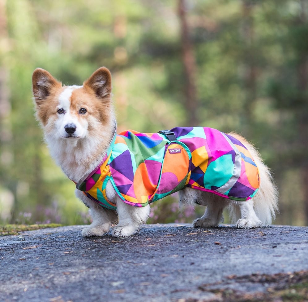 Pomppa Sade Manteau impermeable pour petit chien