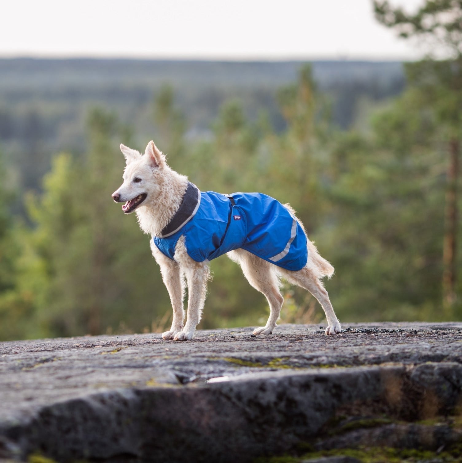 Pomppa Kevyt Manteau impermeable pour chien