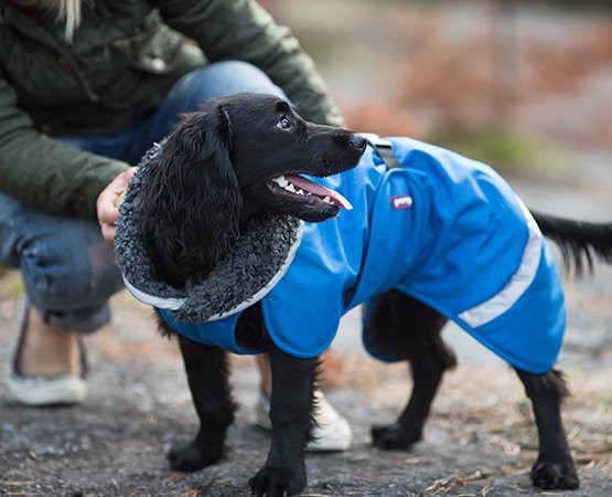 Pomppa Toppa manteau impermeable doublé pour chien Moyen