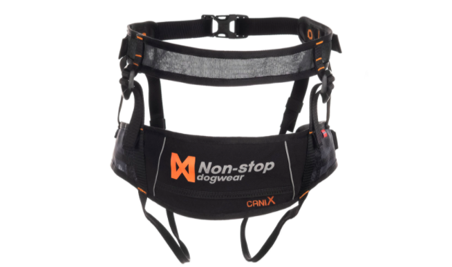 Non Stop Cani X Belt