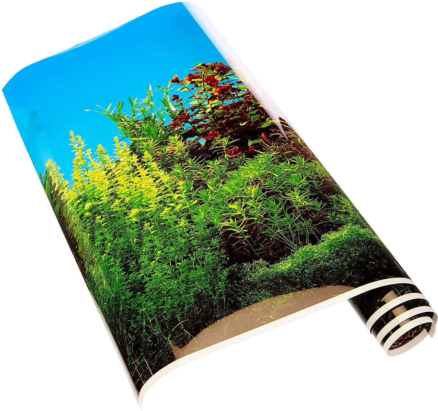 Poster fond d'aquarium
