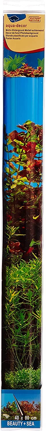 Poster fond d'aquarium