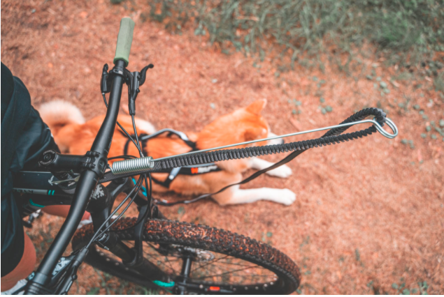 Non Stop bike antenna