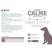 Preference Chien Calme