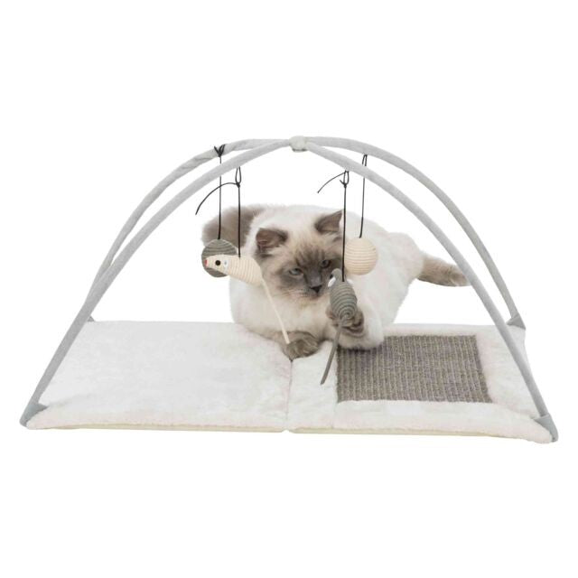 Tapis à gratter avec arches pour chats et chatons