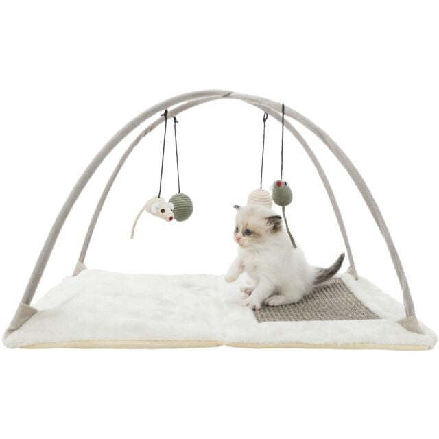 Tapis à gratter avec arches pour chats et chatons