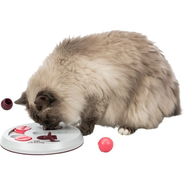 Plateau de jeu pour chat flipboard