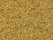 Vadigran Nourriture pour perruches Color 20kg