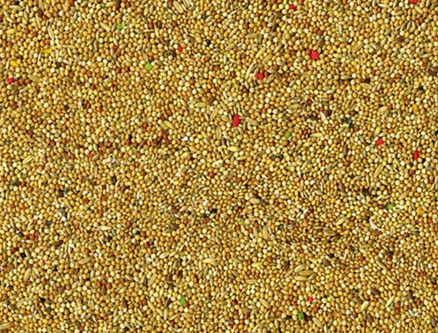 Vadigran Nourriture pour perruches Color 20kg