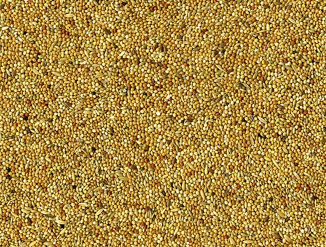 Vadigran Nourriture pour perruches Basic 20kg
