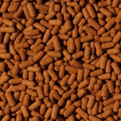 Aliment aquatique Tropical Cichlid & Arowana Large sticks 1000ml