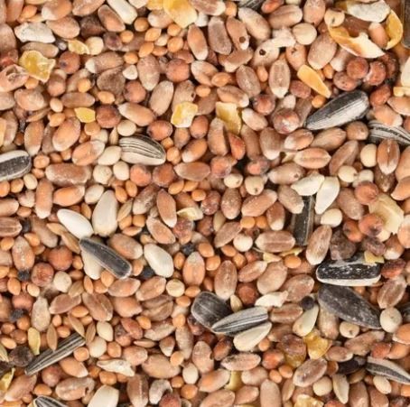 Mélange de graines toutes saisons pour oiseaux sac de 5 kg
