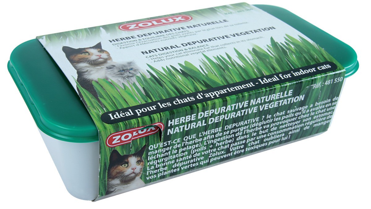 Herbe à chat dépurative naturelle 250g