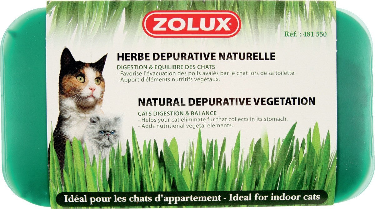 Herbe à chat dépurative naturelle 250g