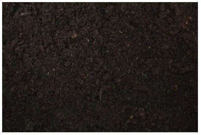 Reptile Planet - Litiere pour terrarium (tourbe blonde) 6L