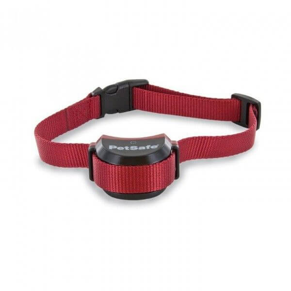 Cynnoteck Collier chien difficile pour clôture stay and play